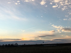 今日の空 #2 (2019/12/29)