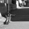 路地裏のネコ（１）
