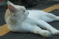 もう起きなきゃダメ? もう起きなきゃダメ?