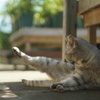 Let's exercise.