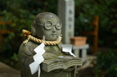 あなたの事、全力で応援します!  - 但し他力本願はいけませんぞ。-