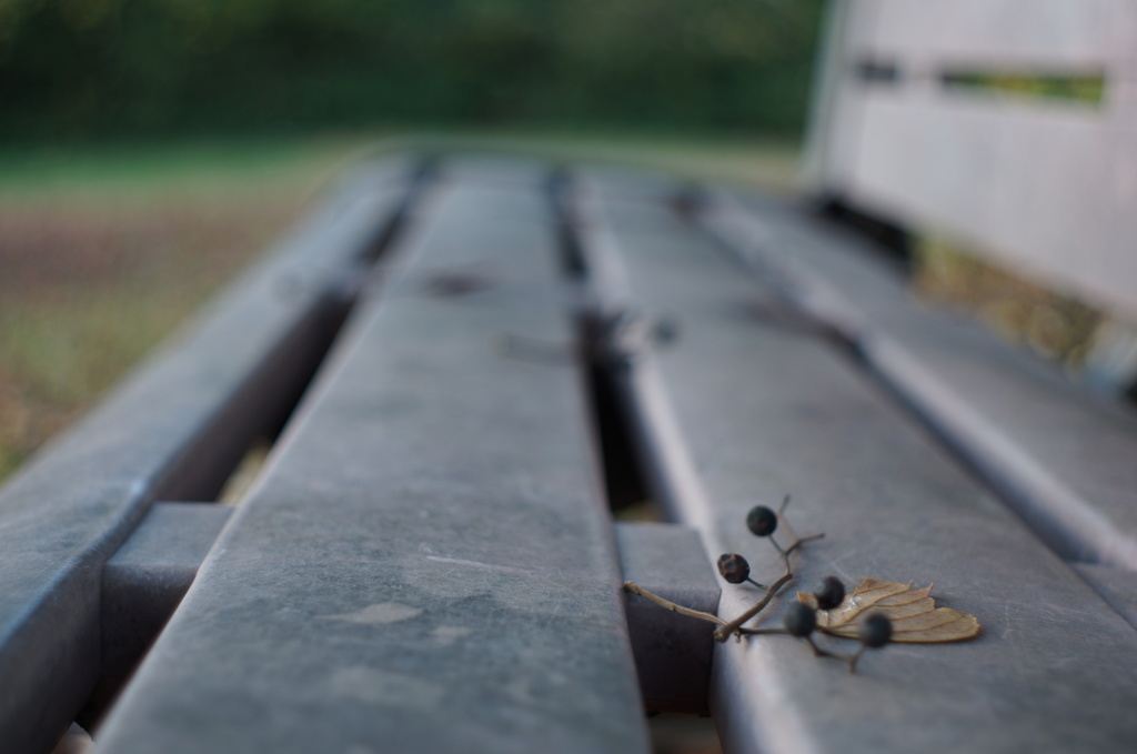 誰かがそこに置いたわけではなく・・・