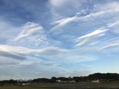 お空は大きな水族館