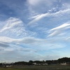 お空は大きな水族館