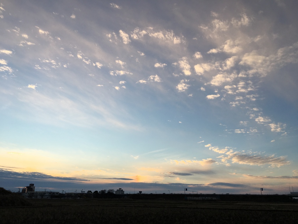 今日の空 #4 (2019/12/29)