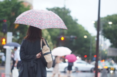 雨降る表参道