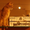 stand still