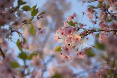 また今年もこの場所で‥‥