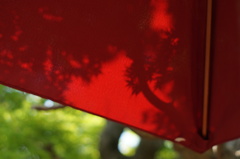 昇り龍と赤い傘