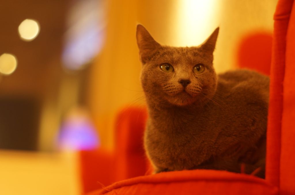red sofa