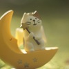 そして今夜も、月に代わってお仕置きしたくなる猫天使なのでした♡
