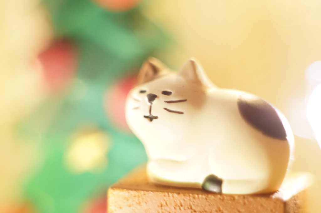 ゆったりと流れる時間