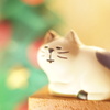 ゆったりと流れる時間