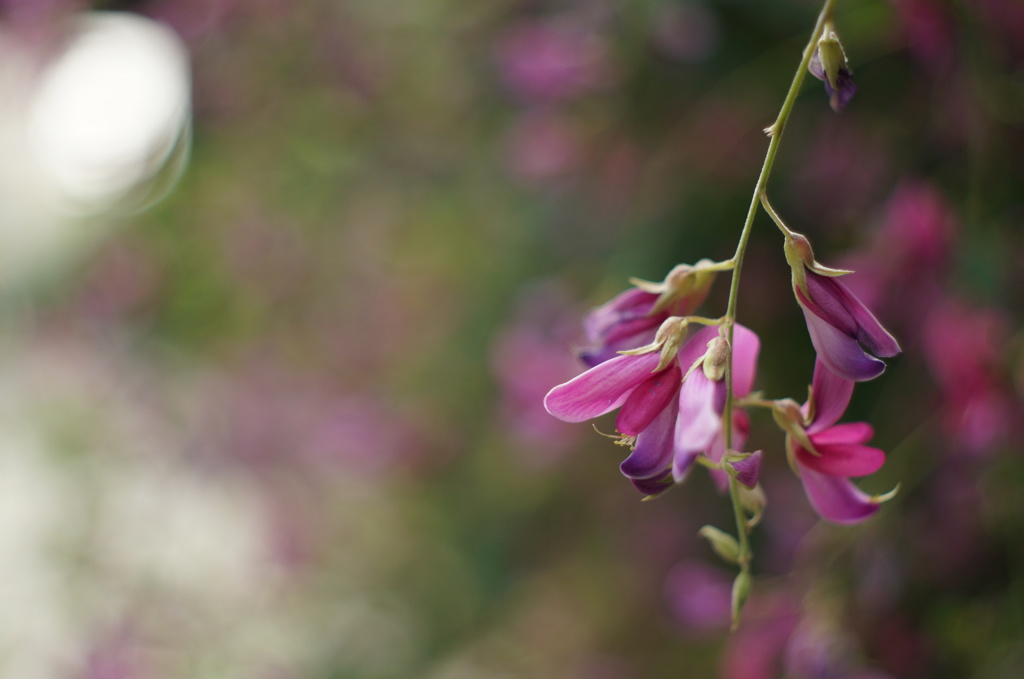 そして・・・秋。