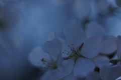 ふたりだけの世界に落ちてしまおうか‥‥