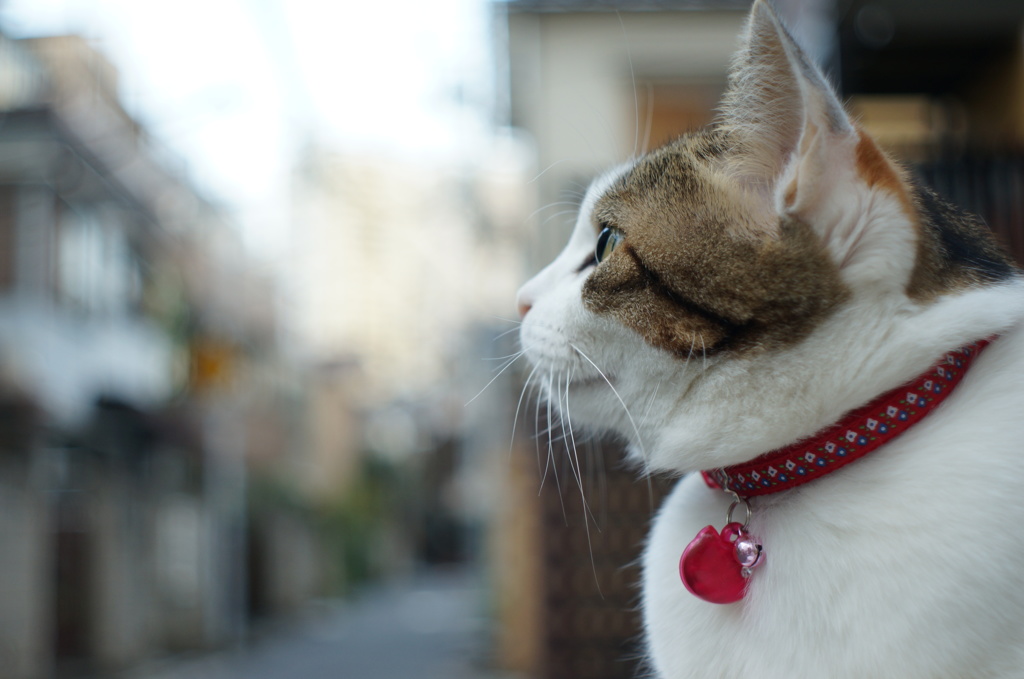 みんなが幸せでありますように♡