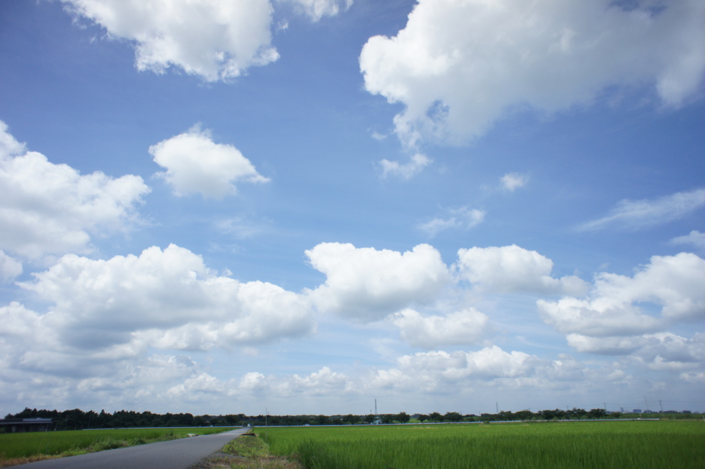 今日の空  #1 (2016/7/10)