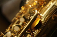 alto saxophone of the son ②