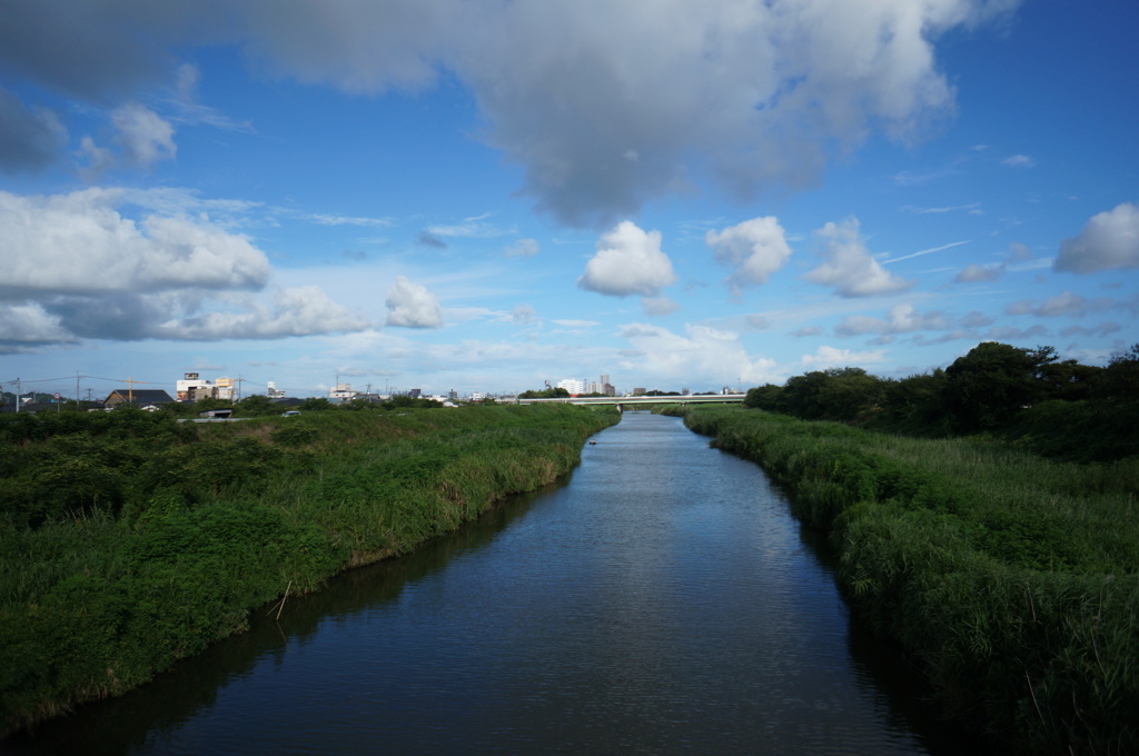 夏の川