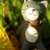 みんな、今日1日はどうだった？