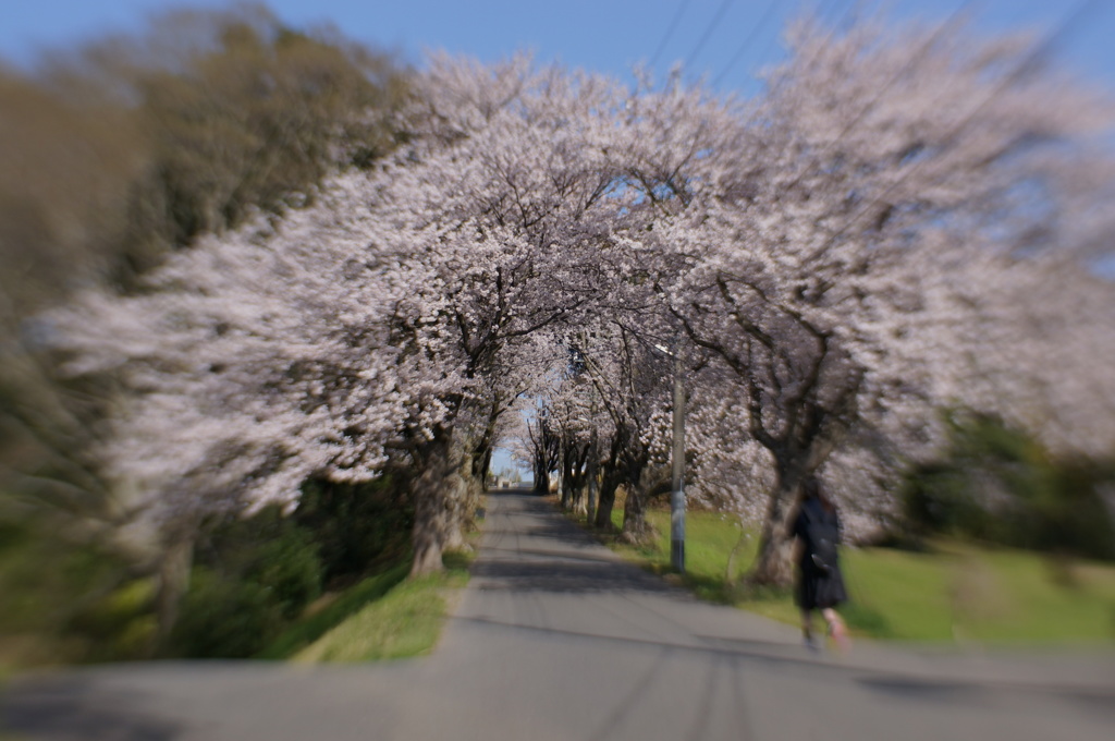 あなたの夢に、また一歩近づけるように‥‥