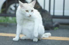 おっ、やべぇーーー。 おっ、やべぇーーー。