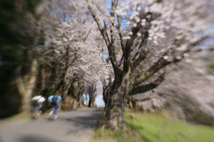 僕たちの春を、おもいっきり駆け上がるんだ!!