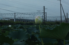 untitled　８