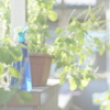 お水をあげる時間だよ♬