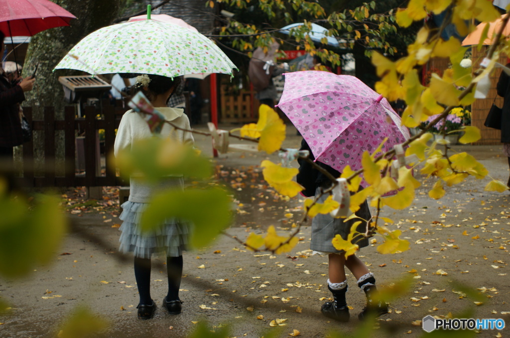 少女達の雨傘