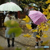 少女達の雨傘