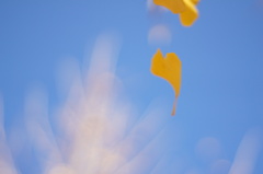 待ち合わせは、秋空の下で・・・。