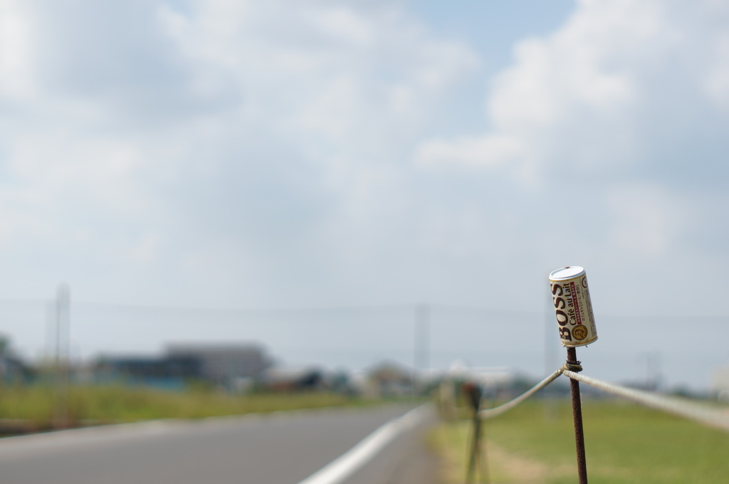君の道も続いてる