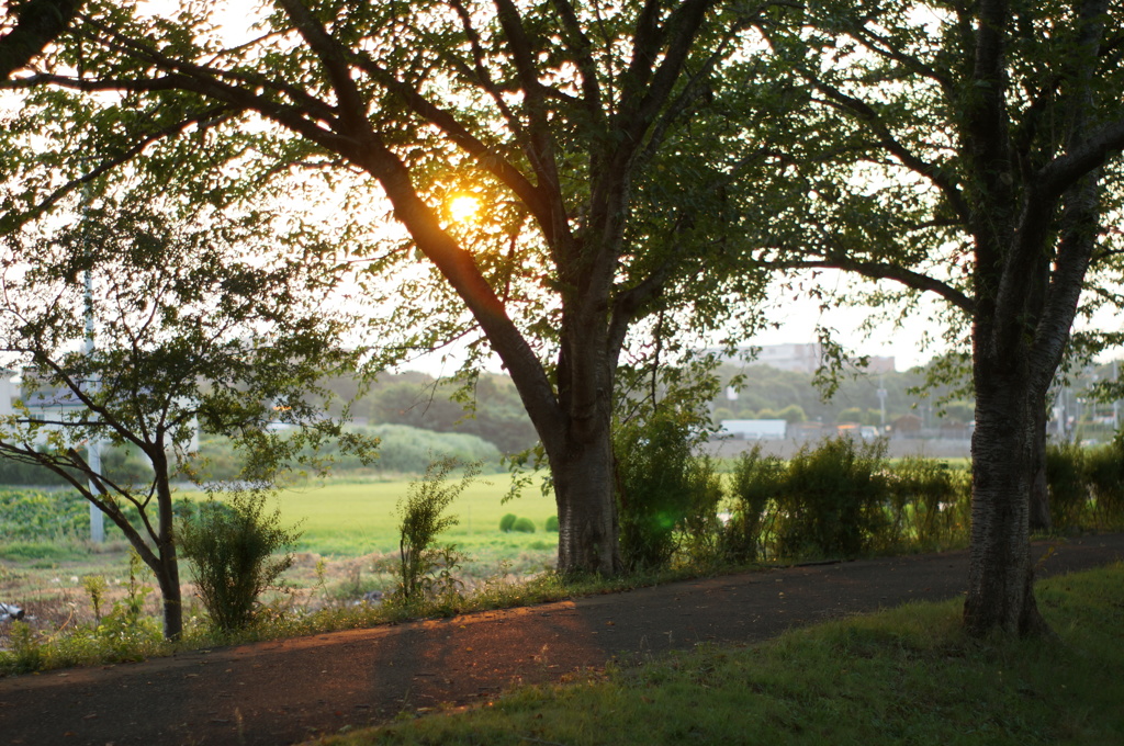 夕暮れの夏休み #1