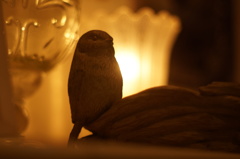 good night