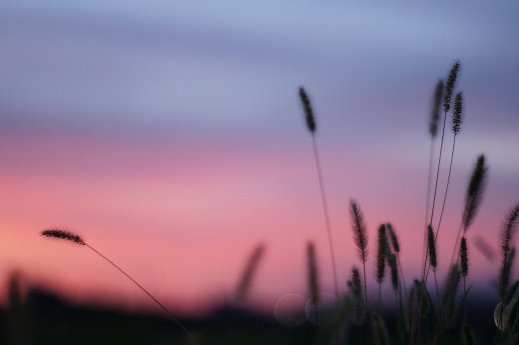 今日の夕日 #3  (2018/8/18)