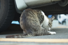 ねっ、そこのキミ猫背ですよ〜! ねっ、そこのキミ猫背ですよ〜!