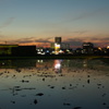 今日の夕日（蓮沼にて）