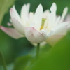 あなたの・・・溢れるほどの愛を感じて♡