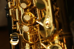 alto saxophone of the son ③