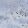 snow jewelry #2
