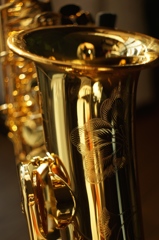 alto saxophone of the son ④