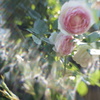 あふれる愛の中で‥‥