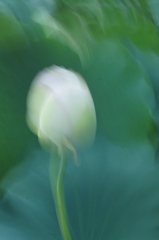 untitled　６