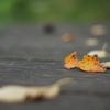 一瞬、時が止まって見えたんだ‥‥。