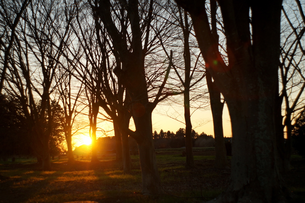 2017年 最初の夕日 