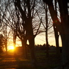 2017年 最初の夕日 