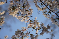 ふと、空を見上げたら‥‥