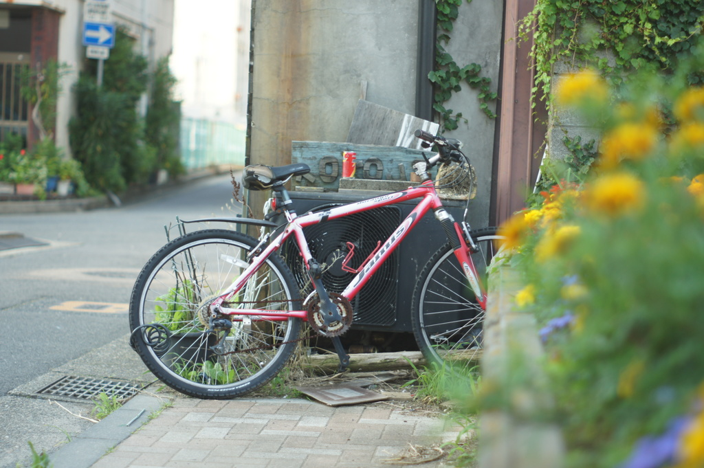 錆びれたチェーン