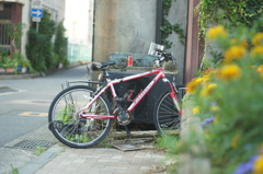 錆びれたチェーン